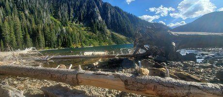 onion onlyfans hot sex pics