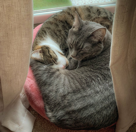 fight onlyfans hd picture