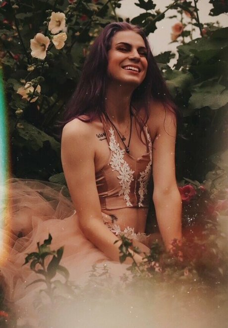 Laced Up Lace star high quality picture