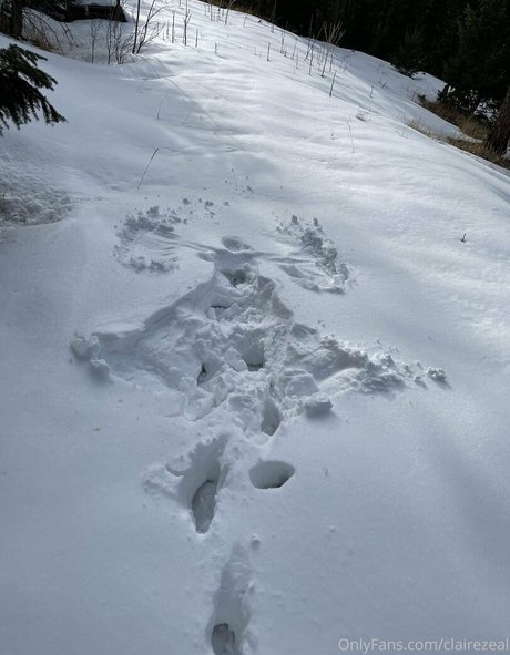 clairezeal free star img