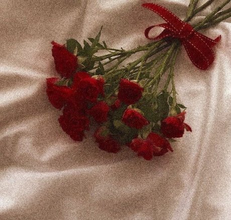 shemale fucks girl onlyfans art porn photos