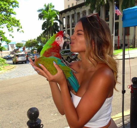 Leslie Sanchez star sex archive