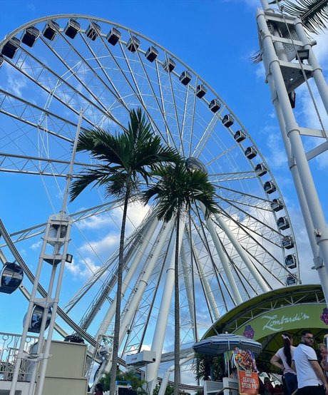 Leslie Sanchez Images