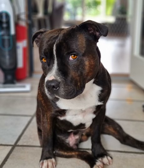 Christina Goldielocks model high quality pic