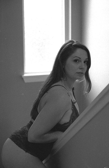 winter bloom high quality star gallery