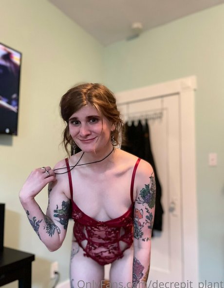 Decrepit plant hd star photos