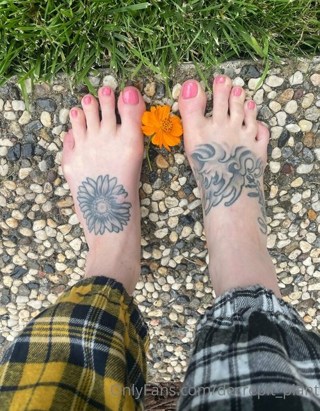 Decrepit plant model adult img