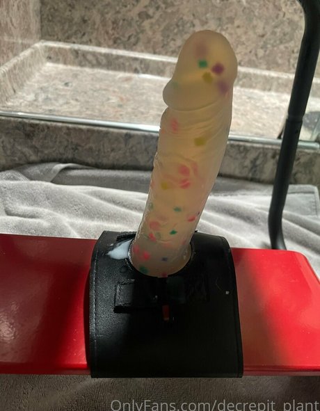 Decrepit plant star art img