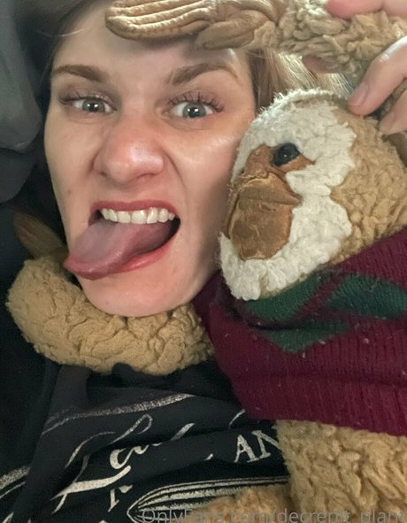 Decrepit plant top model photos