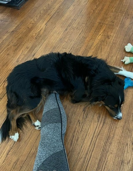 solegoddessap pornstar pretty photo