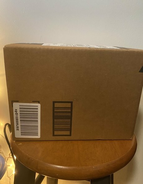 skarlett ivy top star pics