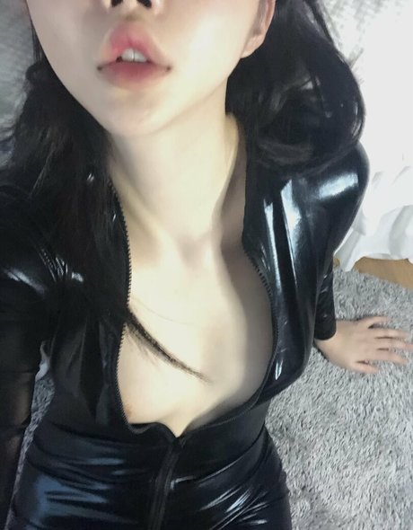 shaigs star best gallery