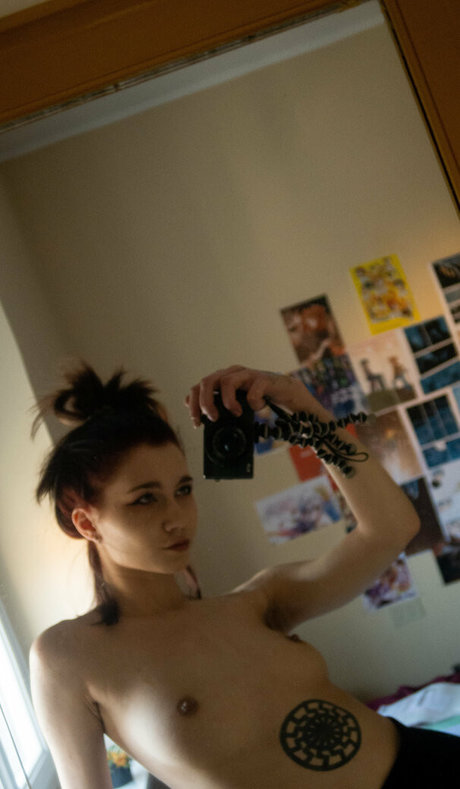 arina gpo nice star photos