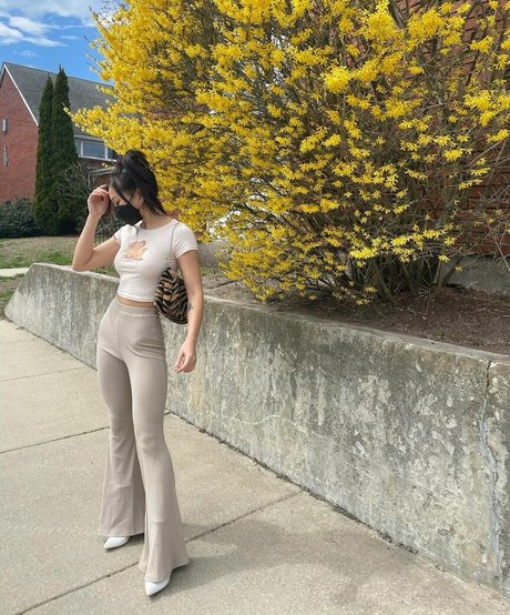 vivacious honey pornstar top img