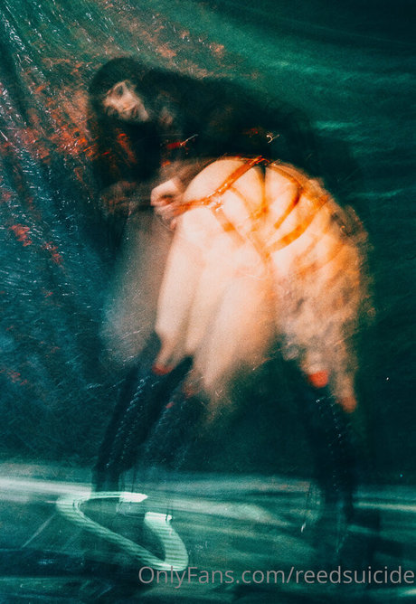 Reedsuicide art star photo