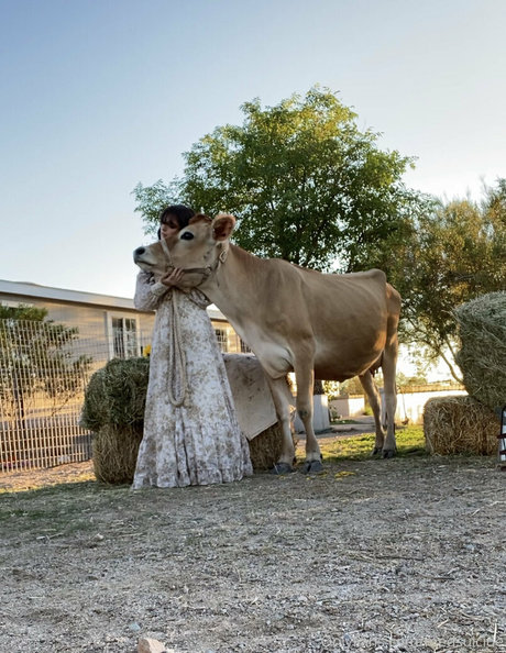 Reedsuicide pornographic actress photo