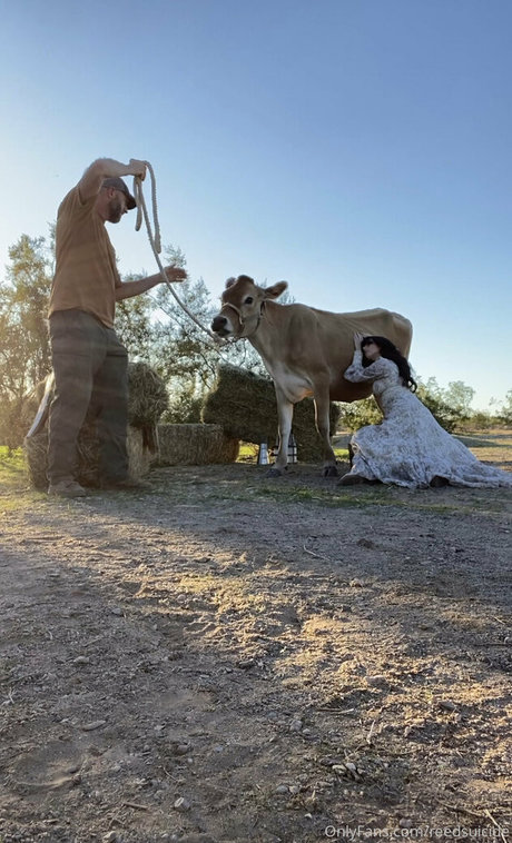 Reedsuicide model erotic archive