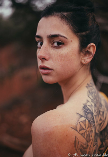 Reedsuicide art star galleries