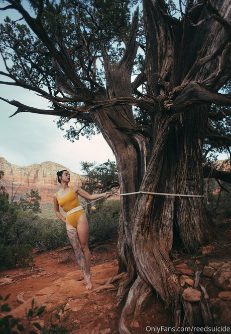 shemale ass onlyfans nice archive