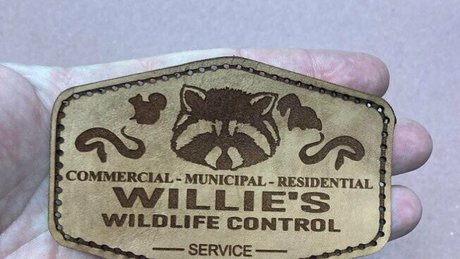 ricksangelsfree perfect pornstar archive