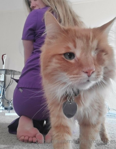 krystalrose toes model art pics