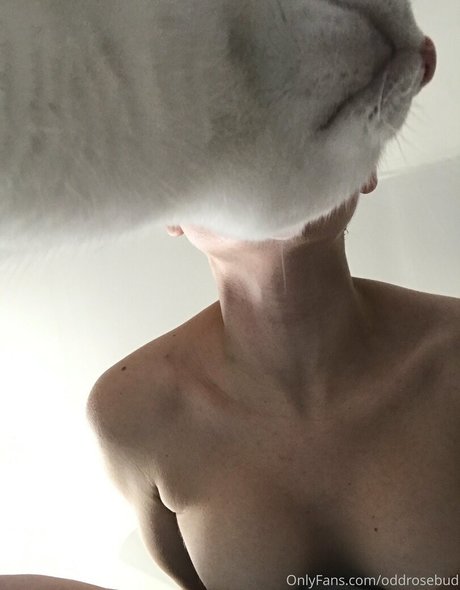 miaxcosta pornstar sexy pic