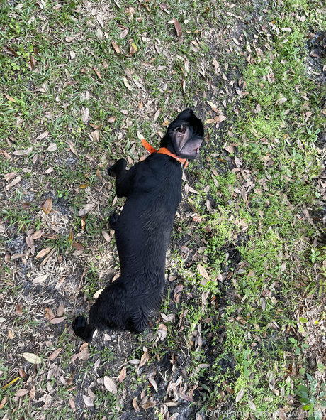 big tits riding onlyfans free photos