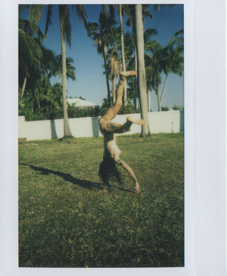 Lavishsuicide pornographic star archive