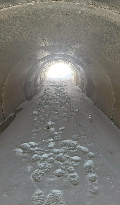 bellatrix model pornographic pic