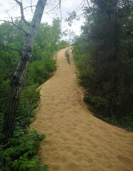 tanned onlyfans pornographic img