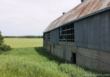 pointy tits onlyfans beautiful xxx gallery