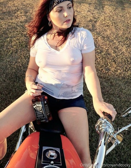 coyandcocky art star images