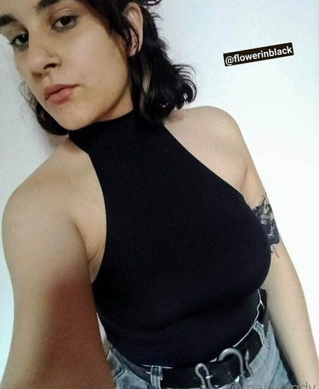 maiacandy pornstar nice img