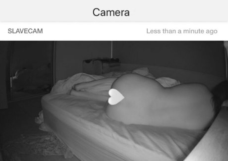 cougars onlyfans sexy xxx images