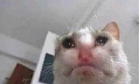 imnoturgothgf star free pic