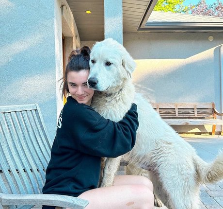 Brett Cooper porn star img