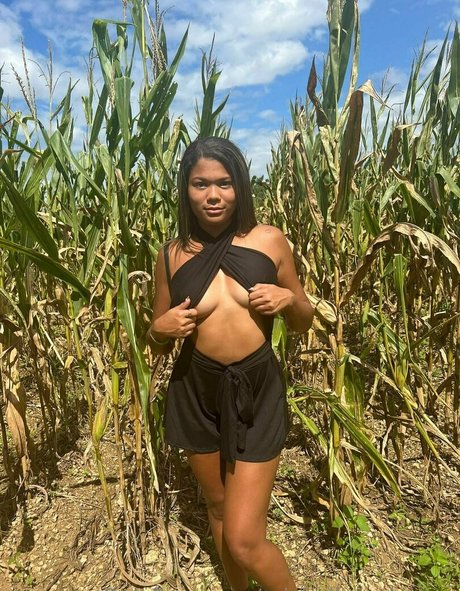 michelleanderson star pretty galleries