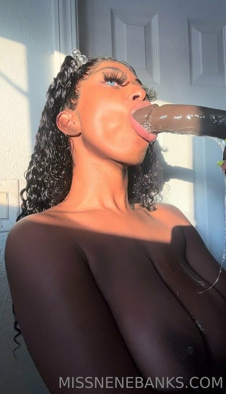 godknowsimbroke nice pornstar galleries