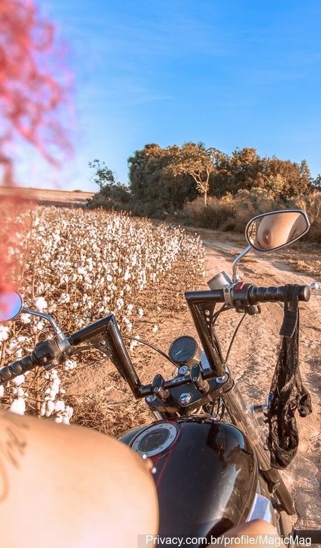 Varias Em Um model top photo