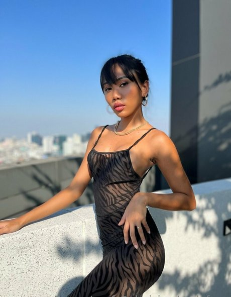 Sheiziss hd model archive