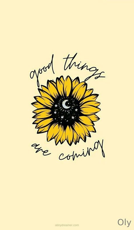 black kitty onlyfans hot xxx pics