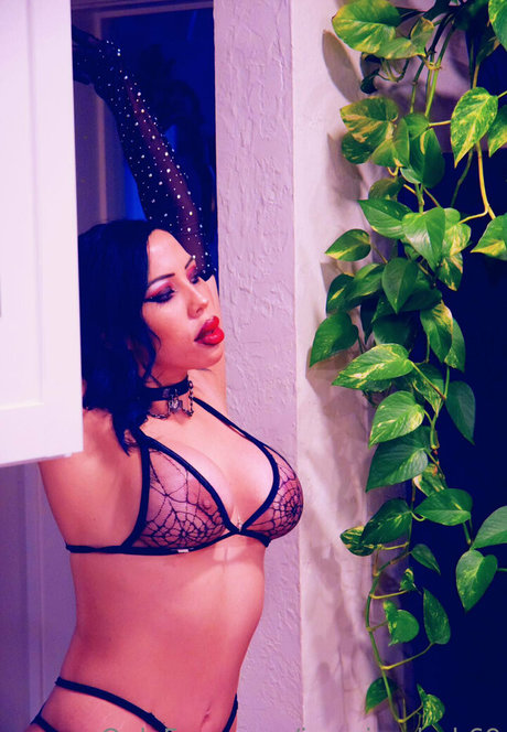 jasminedark69 best star archive