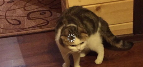 cute babe onlyfans nice archive