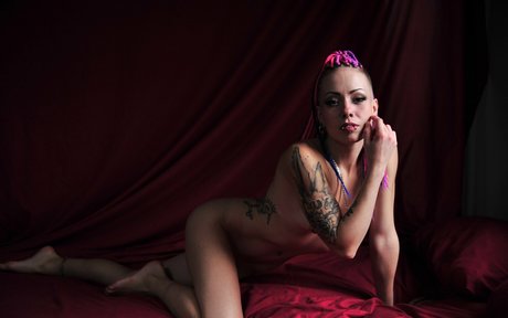 the inkedrabbit pornstar sex gallery