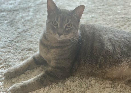 nyxiedust star beautiful galleries