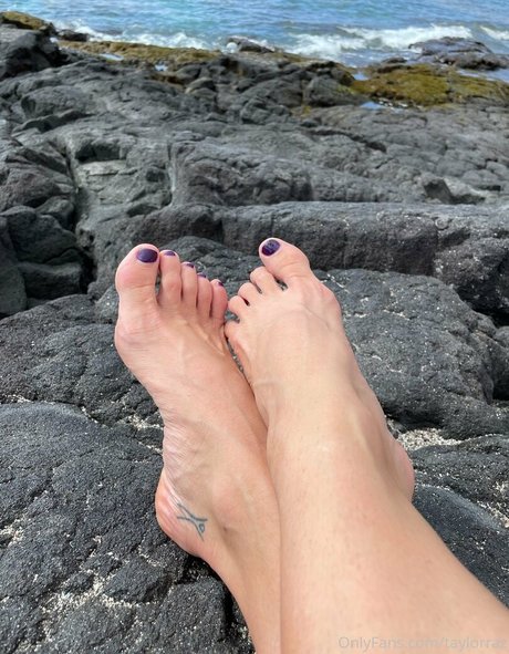 hairy bbw onlyfans art porn picture