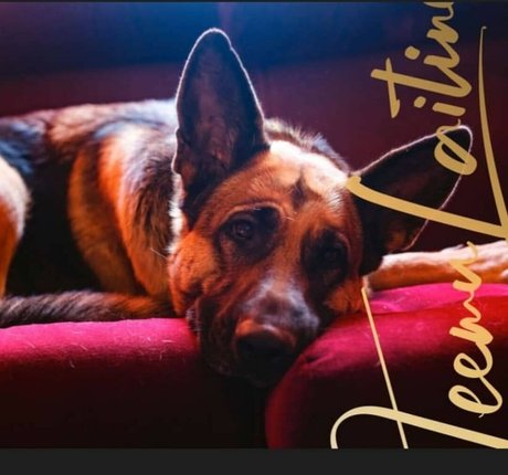 Ming naaa model hot photos