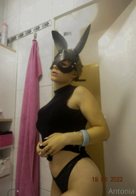 imhotantonia hd star image