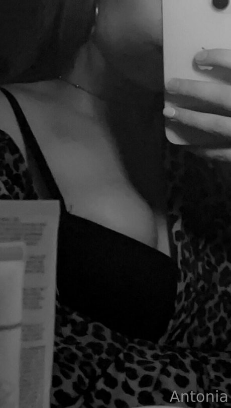 imhotantonia star photo