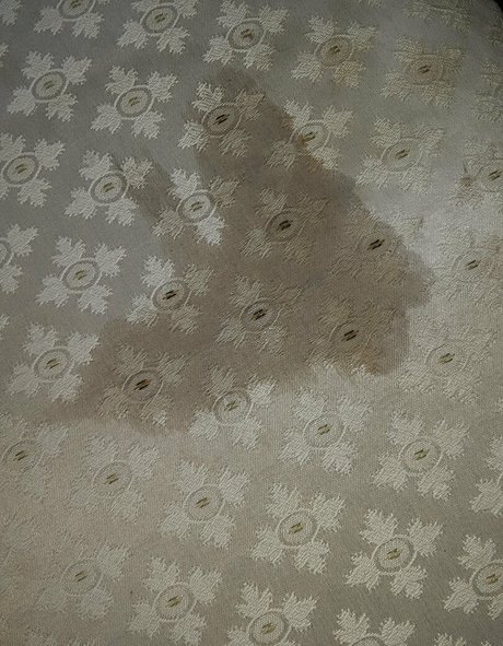 wetnbadmommy model pornographic photo